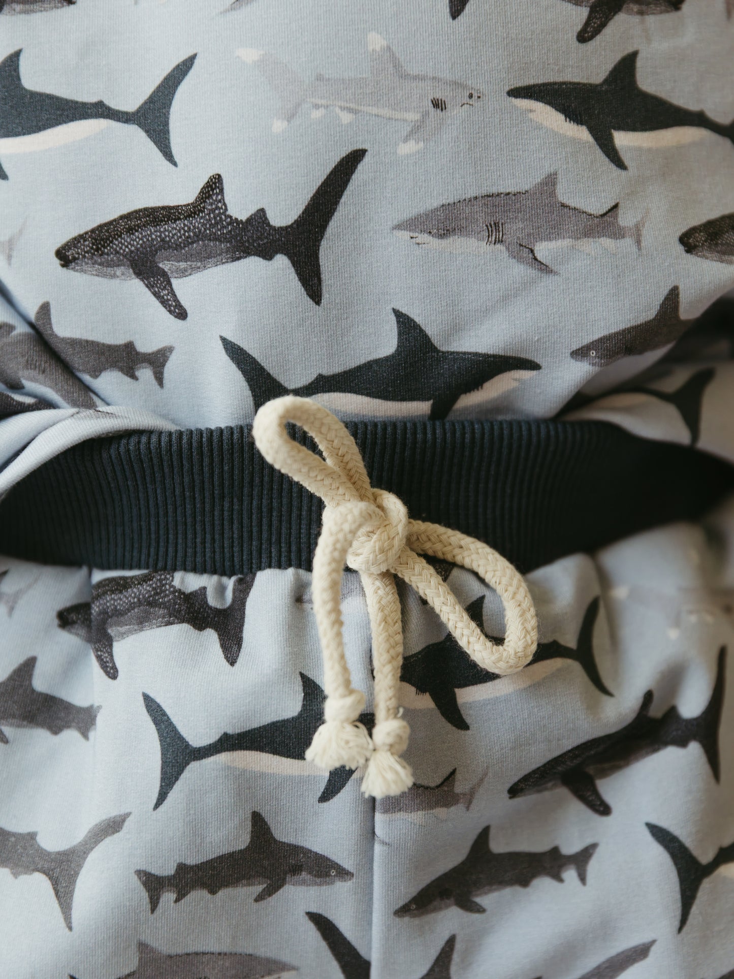 Sharks Cove | Terry Short Set